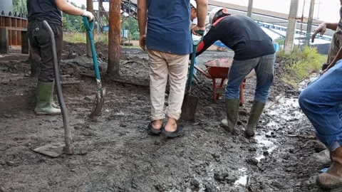 Nggali Video stock 198852625