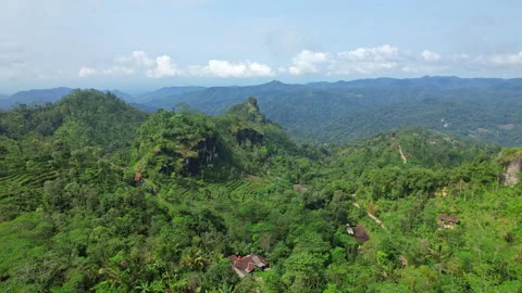 Nglinggo wild forests, Kulon Progo regency, Indonesia Видео 342127746
