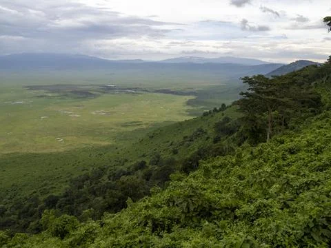 Ngorongoro Crater, Tanzania, Africa - March 1, 2020: Scenic view of Ngorongor Stock Photos