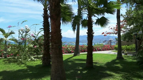 Nha Trang 動画素材 123780108