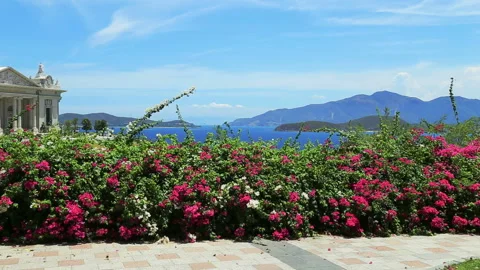 Nha Trang Video stock 123780477