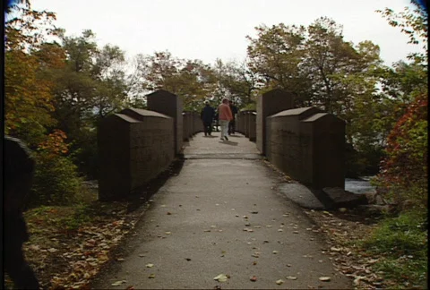 Niagara Falls 12 Stock-Footage 83039
