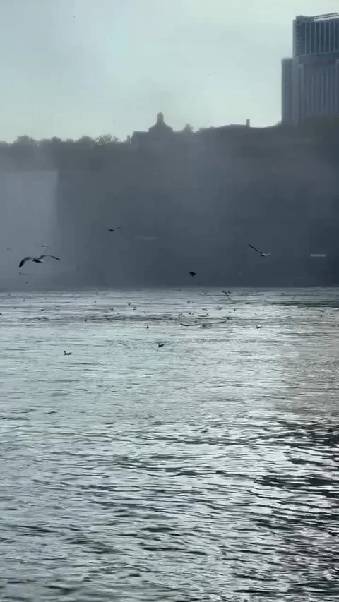 Niagara Falls (4) 스톡 동영상 247663268