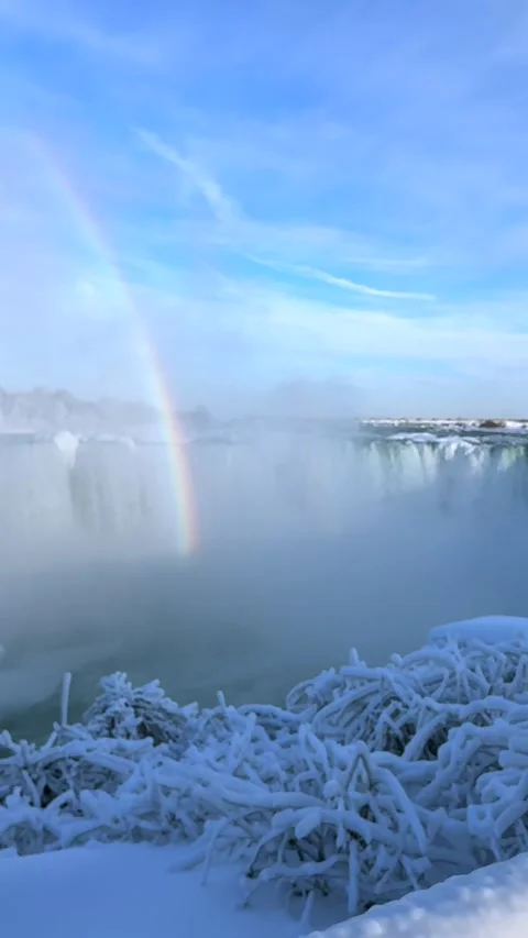 Niagara Falls Canada 2026: Hand Holds Niagara Parks Postcard At The Falls Stock-Footage 342331224