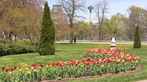 Niagara falls in full bloom in the spring but no tourists in COVID 19 pandemic 库存影片 153347966