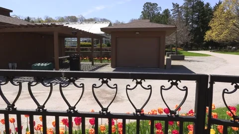 Niagara falls in full bloom in the spring but no tourists in COVID 19 pandemic Stock-Footage 153368653