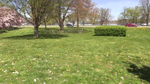 Niagara falls in full bloom in the spring but few tourists in COVID 19 pandemic Stock-Footage 153416023
