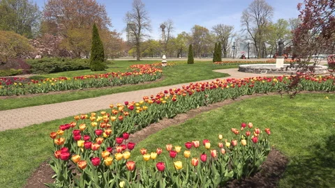 Niagara falls in full bloom in the spring but few tourists in COVID 19 pandemic Video stock 153423711