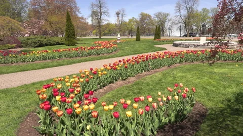 Niagara falls in full bloom in the spring but few tourists in COVID 19 pandemic Stock Footage 153424799
