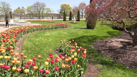 Niagara falls in full bloom in the spring but few tourists in COVID 19 pandemic Stock-Footage 153425474