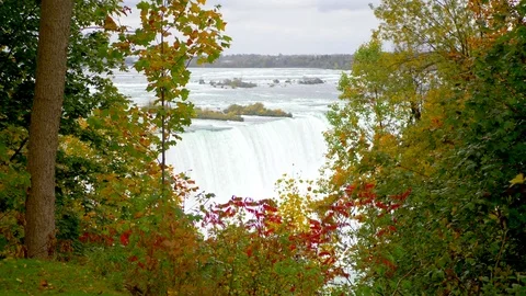 Niagara Falls River in Autumn Fall, River Park Landscape Trees and Leaves Scene Stock Footage 83840627