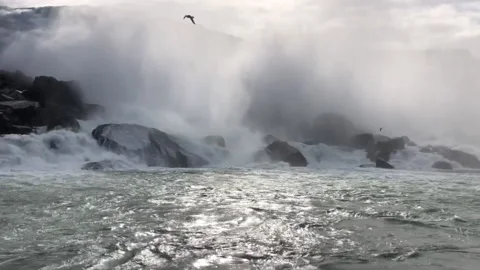 Niagara Falls From River Level With Seagulls Flying By And Water Splashing Vidéo 234634580