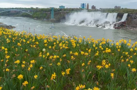 Niagara Falls in spring time Stock Photos