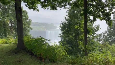 Niagara Falls Three Waterfalls Framed by Forest Trees and Foliage 4K Video stock 332135060