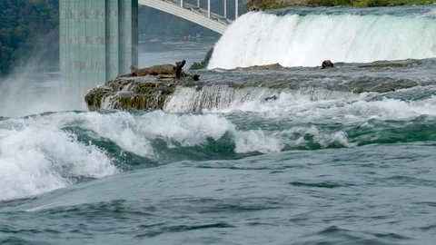 Niagara Falls Waterfall American Side New York Slow Motion Video stock 80343755