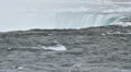 Niagara Falls Winter 2 Snow Falling HD Footage
