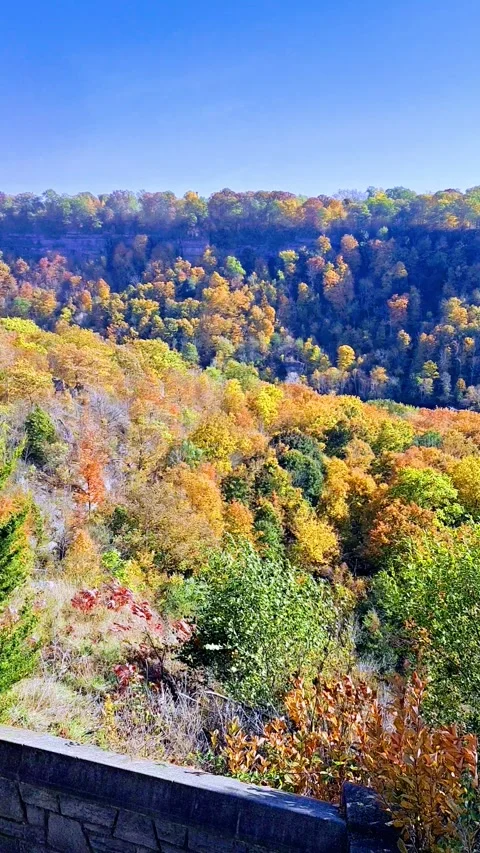 Niagara Glen in Autumn Stock Footage 293944401