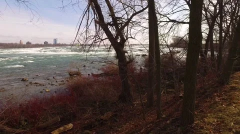 Niagara River Before Falls Spring  Stock Footage 61888884