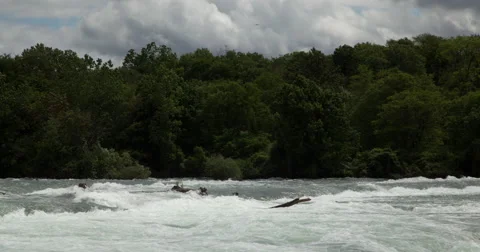 Niagara River Time-Lapse Stock Footage 41717165