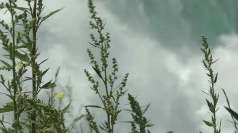 Niagara Waterfall focus defocus 動画素材 54298380