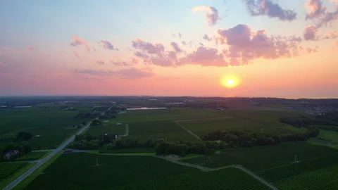 Niagara Wine Land Stock Footage 219344792