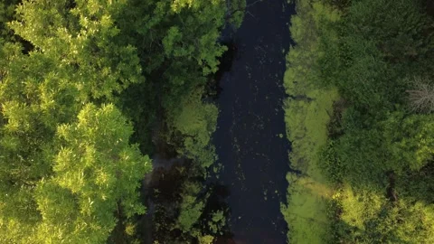 Niakwa River Stock Footage 313565216