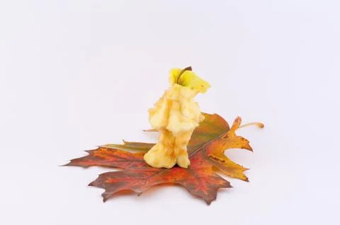 Nibbled apple Stock Photos