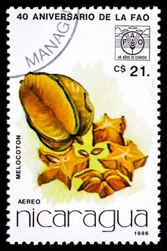 NICARAGUA - CIRCA 1986: A postage stamp from Nicaragua showing fruit Melocoton Stock Photos
