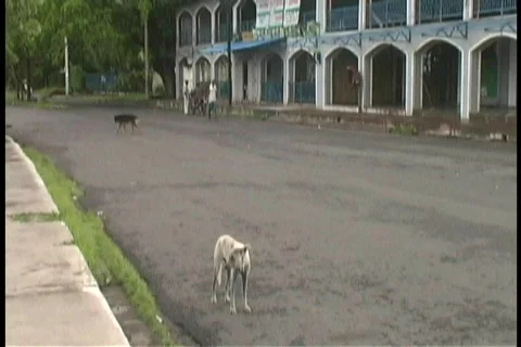 Nicaragua Stock Footage 152134