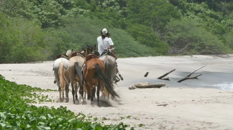 Nicaragua Surfing Stock Footage 60646507
