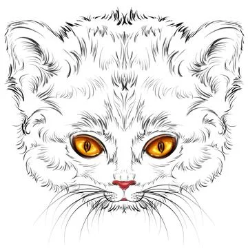 Nice advanced sketch of a kitten's head with yellow eyes Stock Illustration