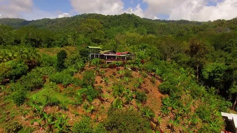Nice aerial pull back from a small restaurant or bar in Costa Rica jungle to 库存影片 82566285
