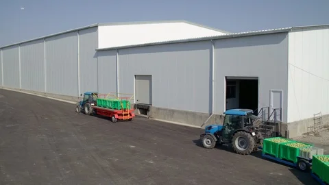 Nice aerial view how two harvesters work in apple farm 스톡 동영상 123421226