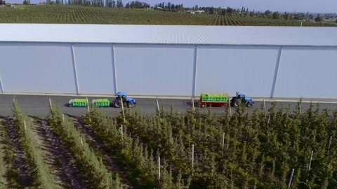 Nice aerial view how two harvesters work in apple farm 스톡 동영상 123424787