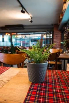 Nice and empty coffee shop Foto stock