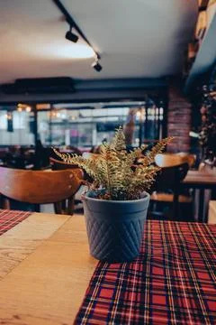 Nice and empty coffee shop Foto stock