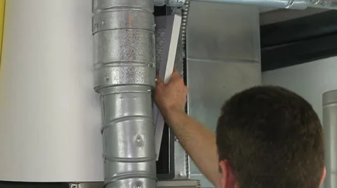 Nice and Fresh Stock Footage 8599885