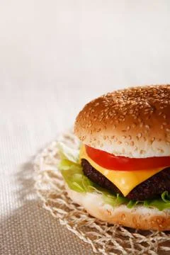 Nice and simple beef cheese burger Stock Photos