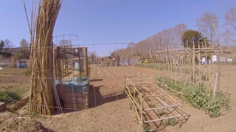 Nice and small vegetable gardens view Stock Footage 105129320