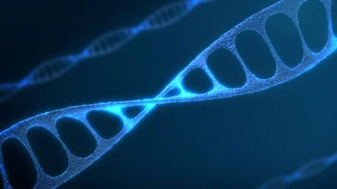 Nice animation of the chain of DNA. video on the theme of biology, science Stock Footage 83011840