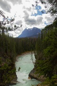 Nice Athabasca waterfall in Canada. Stock Photos