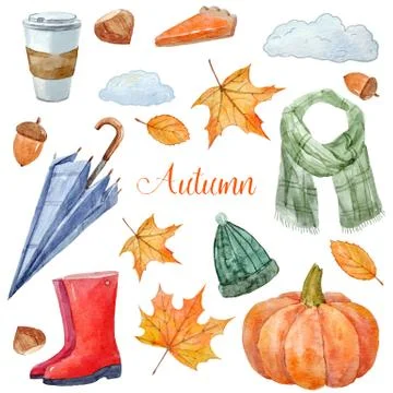 Nice autumn set Stock Illustration