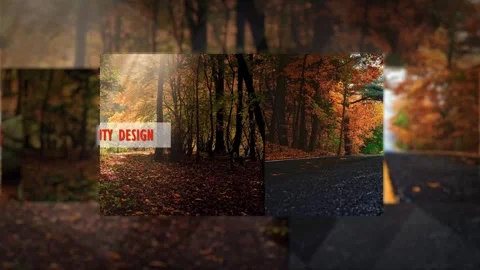 Nice Autumn Slideshow Stock After Effects