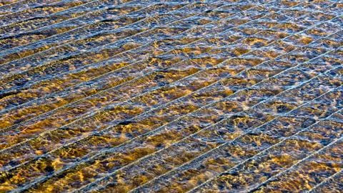 Nice background of a ripple pool Stock Photos