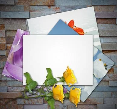 Nice background with a yellow rose Stock Photos