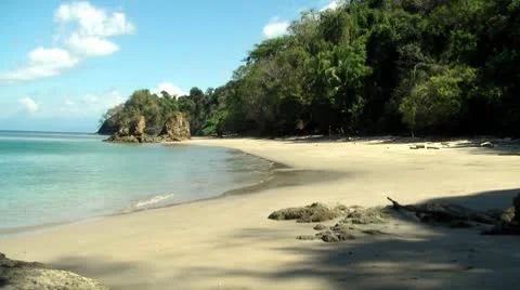 Nice beach 4, seamless looping Video stock 8839071