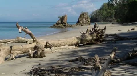 Nice beach 5, seamless looping Vidéo 8838884