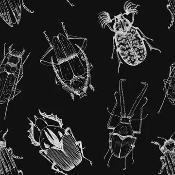 Nice beetles vector pattern 스톡 일러스트