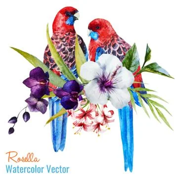 Nice birds Stock Illustration