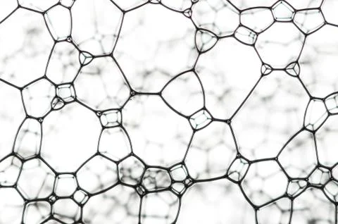 A nice black pattern over a blur background 스톡 사진